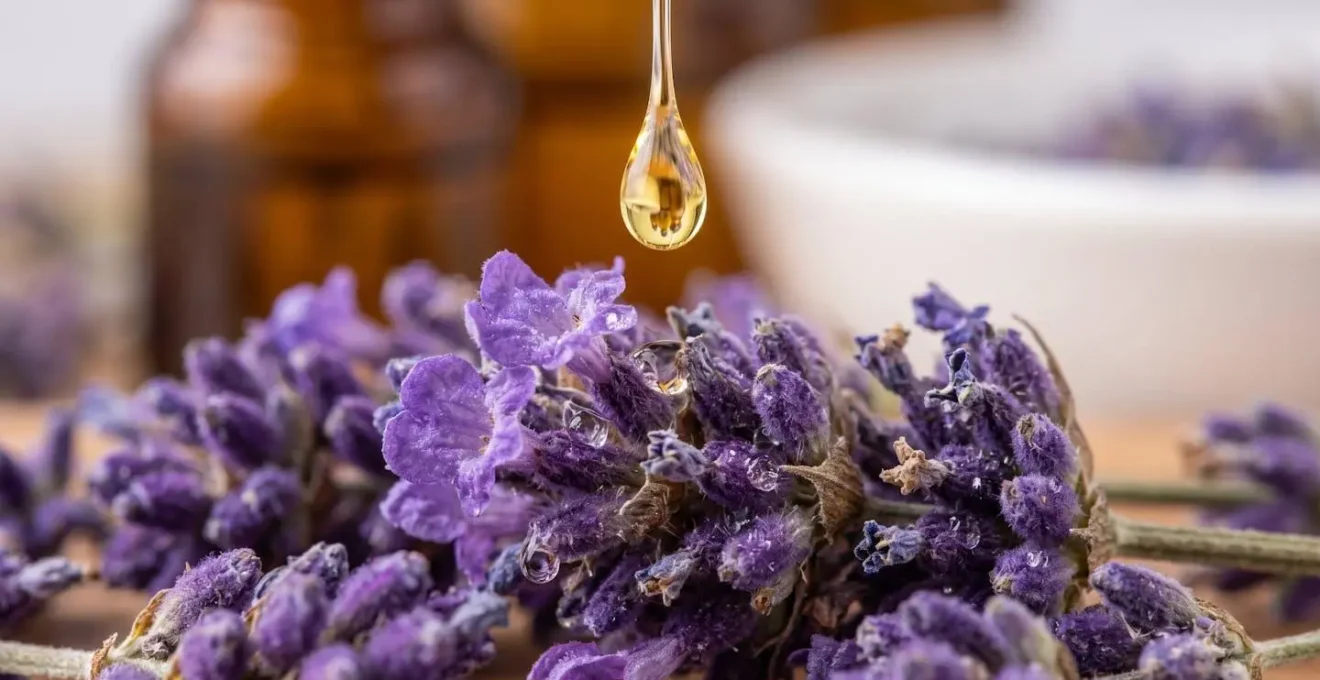 Composition d'huiles essentielles de lavande et petit grain pour le sommeil